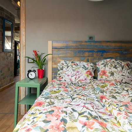 Attic In Old Town Heart Kurpiai Appartement *